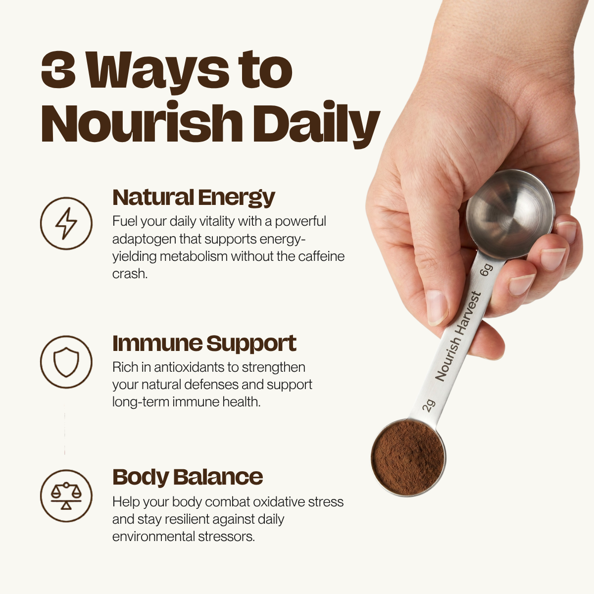 Chaga: Energy Powder
