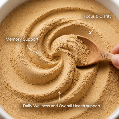 Lion's Mane: Focus Powder