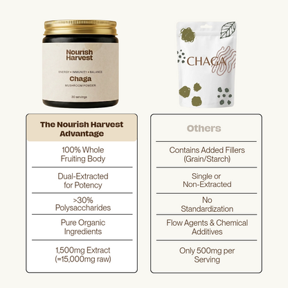 Chaga: Energy Powder